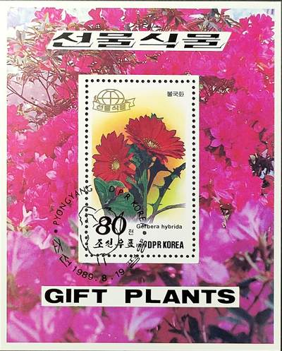 ↓君缘收藏750期☞钱币邮品↓无佣金、可寄存、满30元包邮  - 朝鲜邮票，1989年礼品花卉·非洲菊邮票小型张
