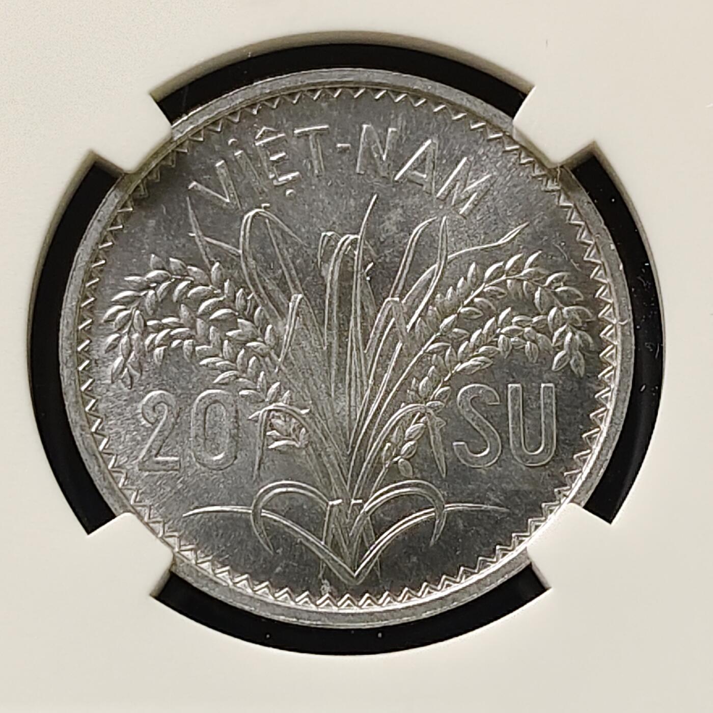 【全场包邮】纯粹捡漏拍507场-持续更新中