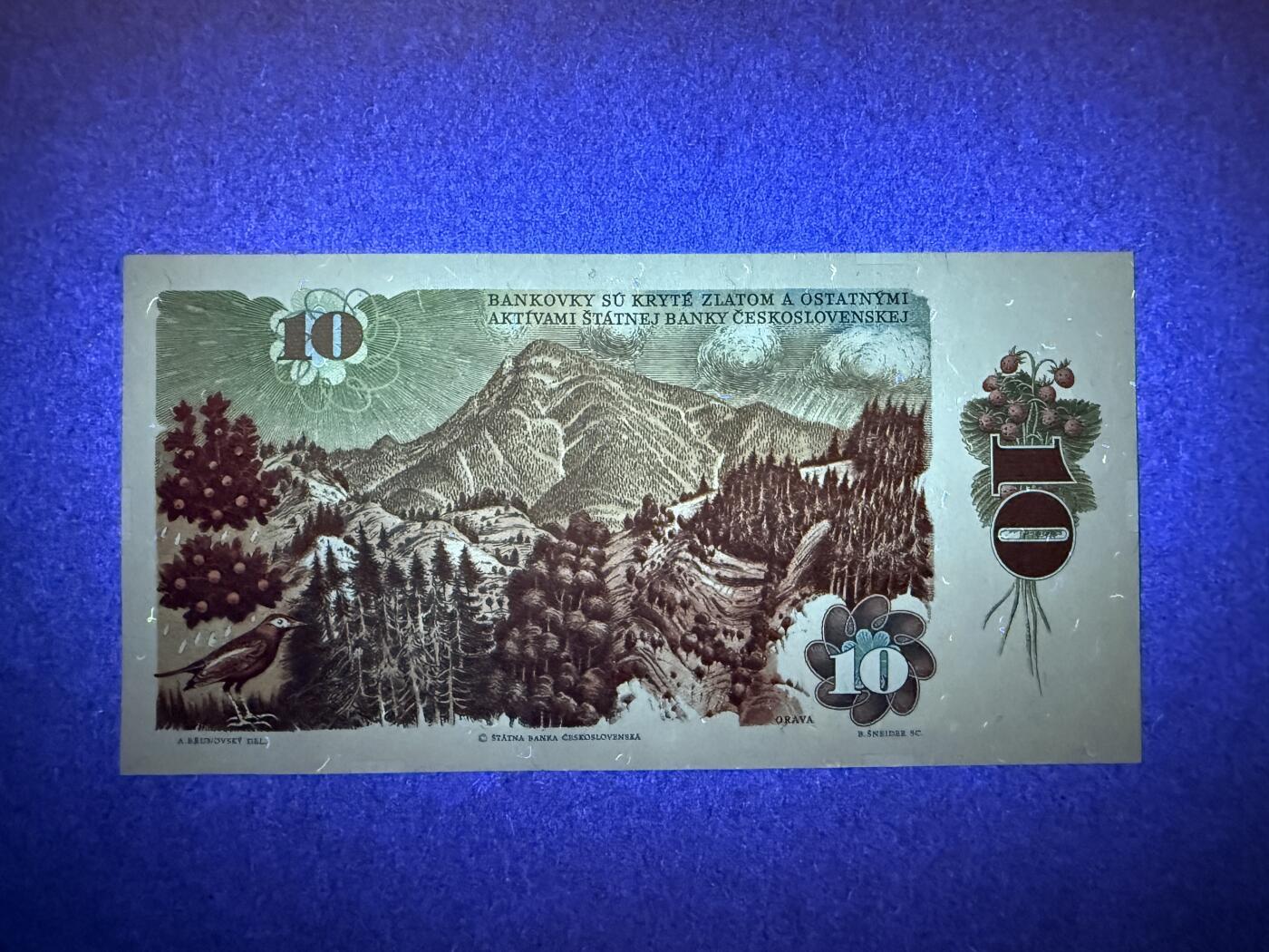 《艾美收藏》第234期-3.1周日外币精华场