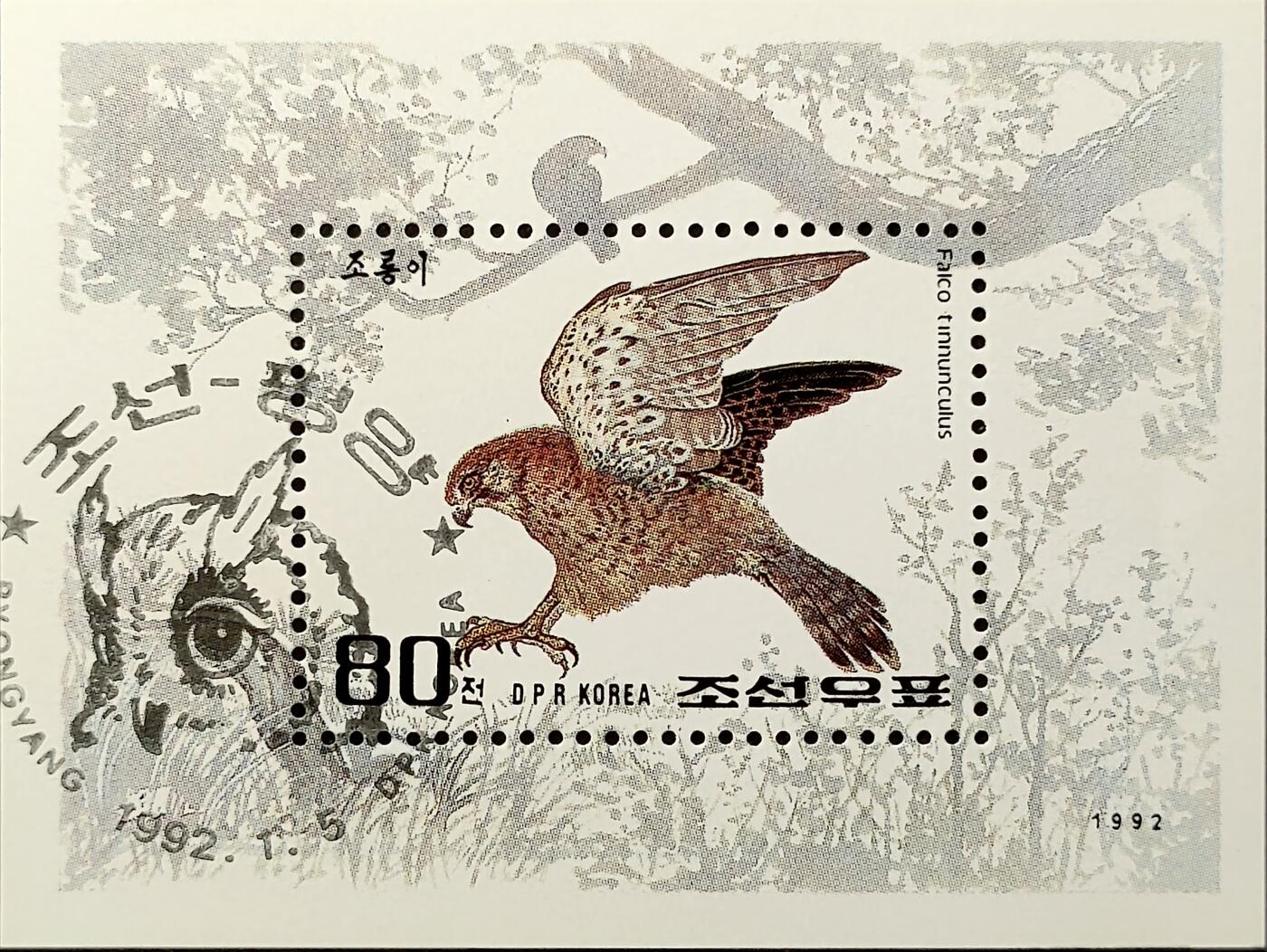 ↓君缘收藏749期☞钱币邮品↓无佣金、可寄存、满30元包邮  朝鲜邮票，1992年动物猛禽 红隼邮票小型张