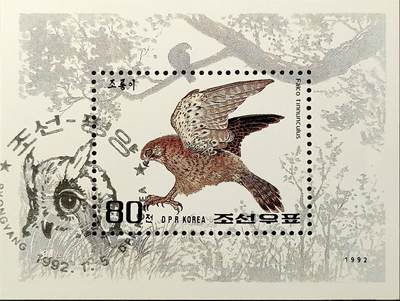 ↓君缘收藏749期☞钱币邮品↓无佣金、可寄存、满30元包邮  - 朝鲜邮票，1992年动物猛禽 红隼邮票小型张