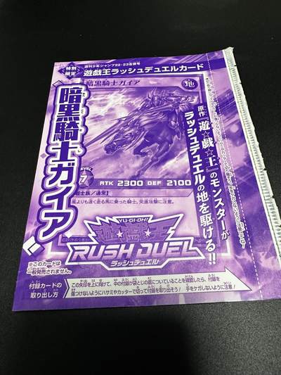 游戏王 影之诗 VG卡牌等 专场卡牌 - 游戏王 暗黑骑手书卡