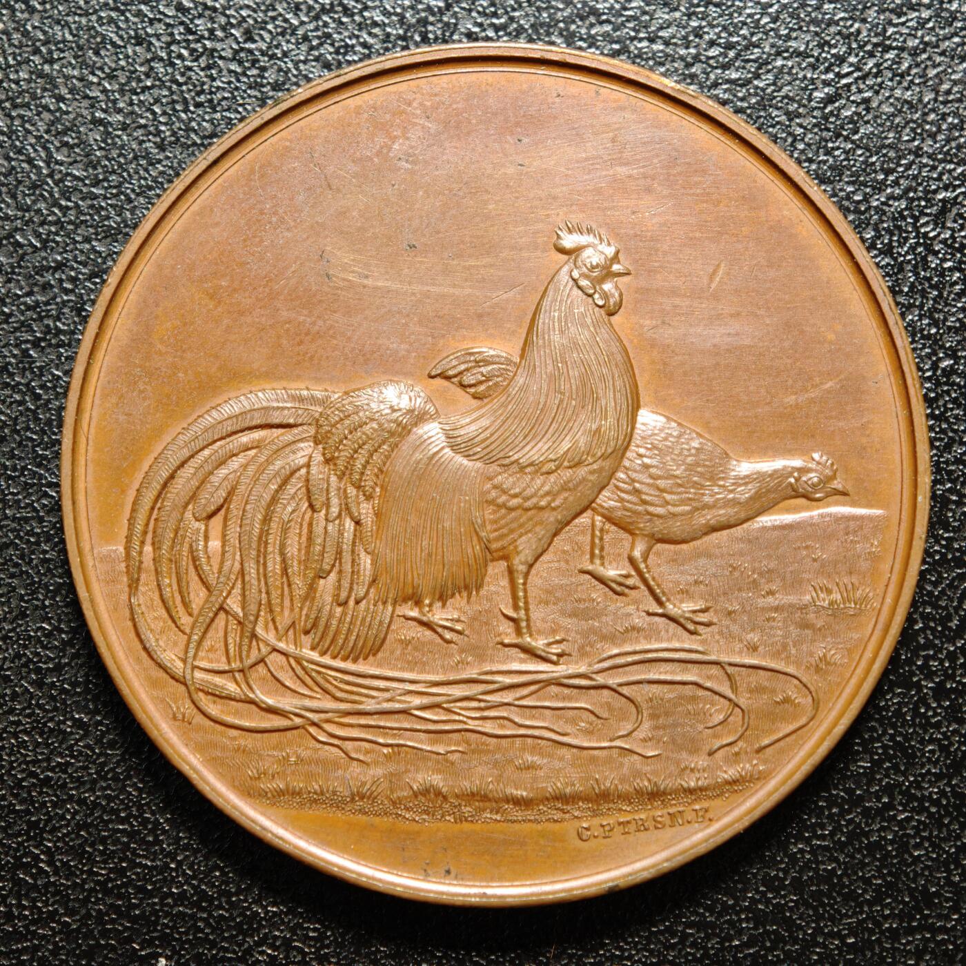 【德藏】世界币章拍卖第166期（拍品征集中~欢迎藏友联系）