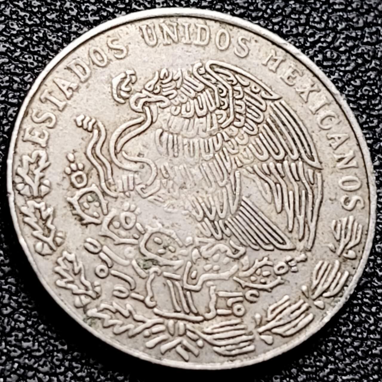 泉币菌-第202场-本场拍品多 请提前出价（正月十五统一发货） 。