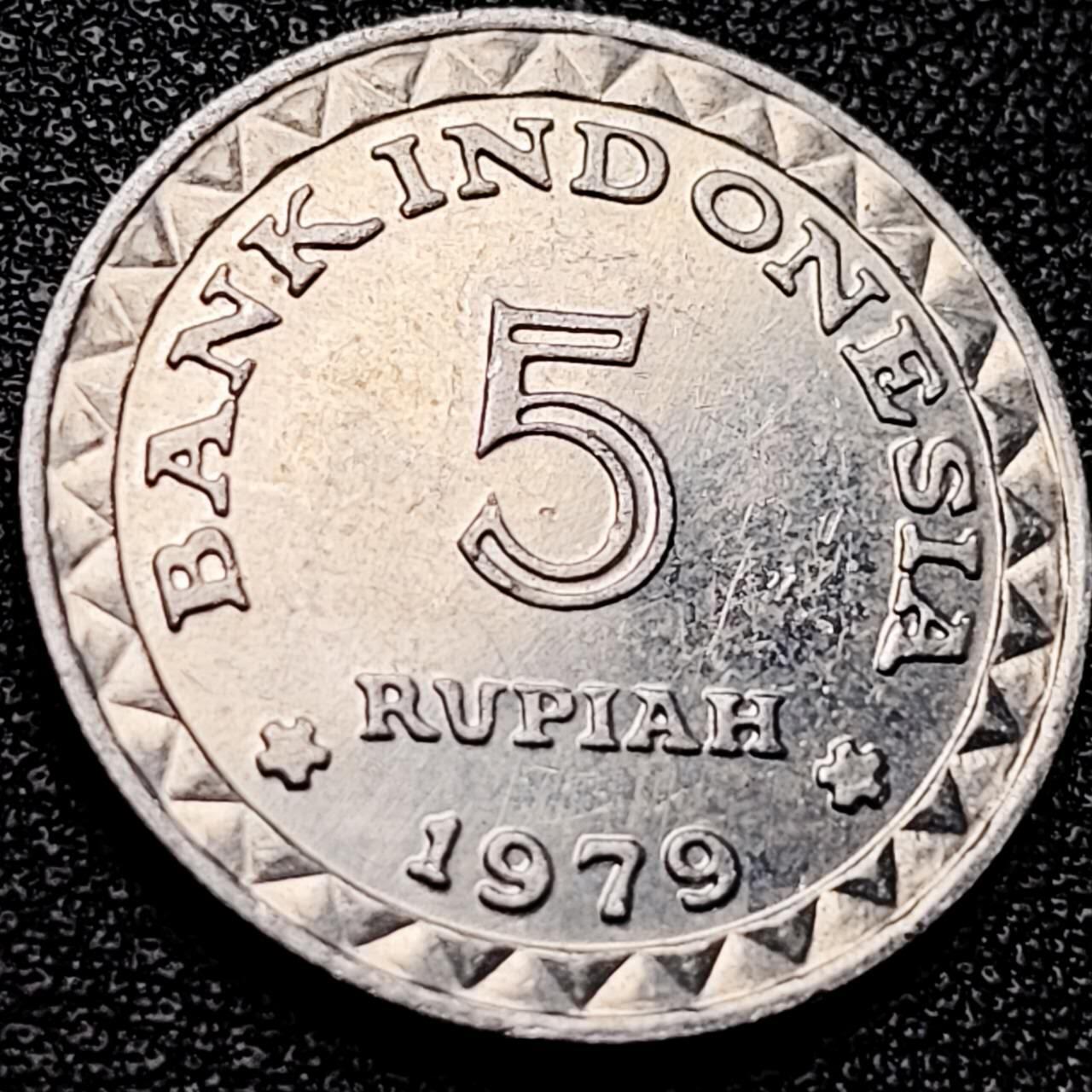 泉币菌-第202场-本场拍品多 请提前出价（正月十五统一发货） 。