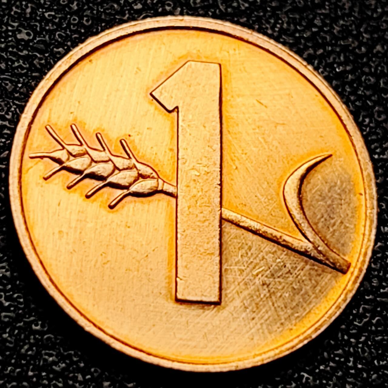 泉币菌-第202场-本场拍品多 请提前出价（正月十五统一发货） 。