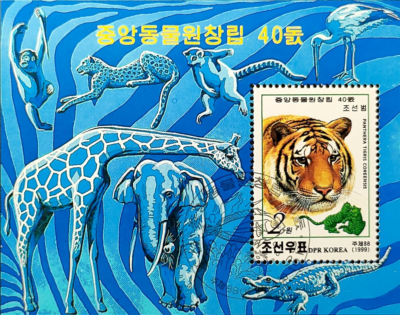 ↓君缘收藏749期☞钱币邮品↓无佣金、可寄存、满30元包邮  朝鲜邮票，1999年朝鲜中央动物园建园40周年·东北虎邮票小型张