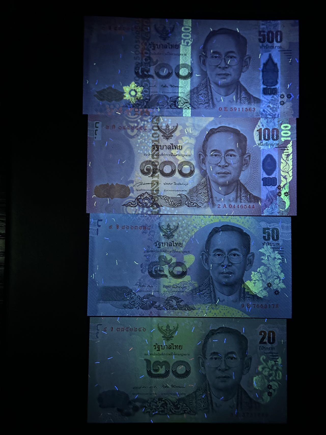 丙午马年开年第二场（大更新）