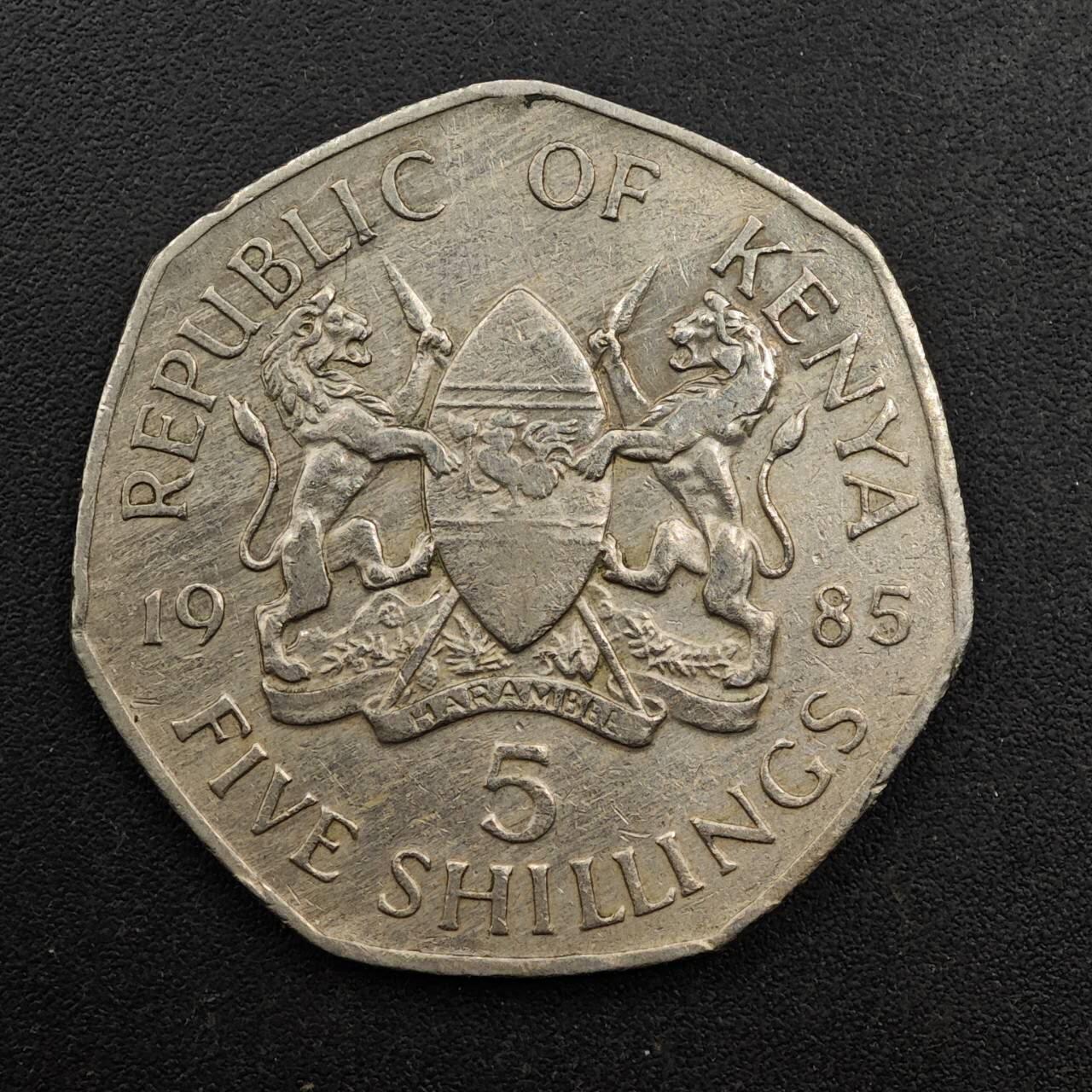 【淘币小摊】实时拍第八百七十一拍   散币银币场    每周一统一发货