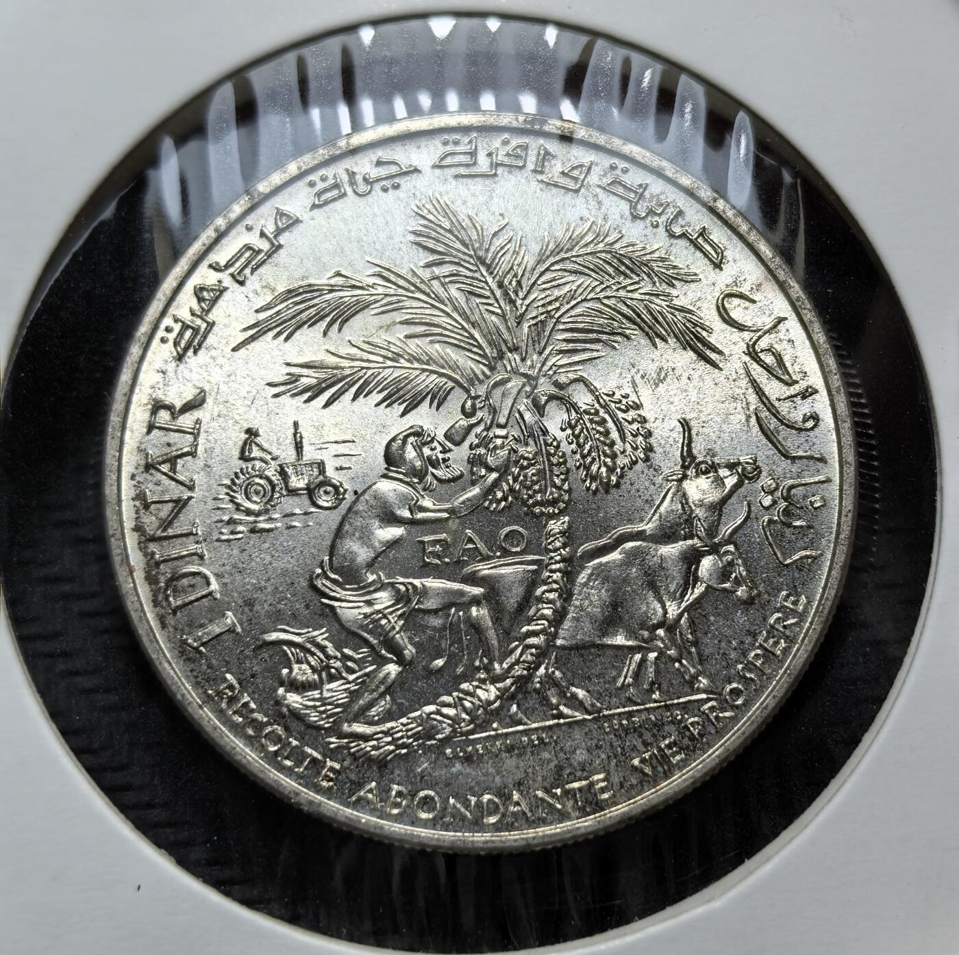外国优质老铜币银币，正月十二晚九点倒数截拍，满百包邮可寄存，持续收拍 突尼斯 1970 年 1 第纳尔FAO纪念银币，属于联合国粮农组织（FAO）纪念系列。正面为开国总统布尔吉巴像，背面描绘椰枣丰收图景，法文 “丰收繁荣”，体现北非农业特色与粮食安全主题。