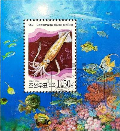 ↓君缘收藏749期☞钱币邮品↓无佣金、可寄存、满30元包邮  - 朝鲜邮票，2000年海洋生物 太平洋褶柔鱼(鱿鱼)邮票小型张