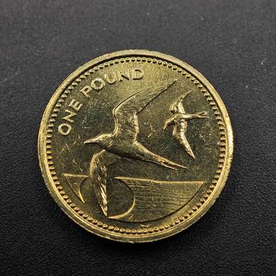 【淘币小摊】实时拍第八百七十一拍   散币银币场    每周一统一发货 - 圣赫勒拿1984年1镑铜币