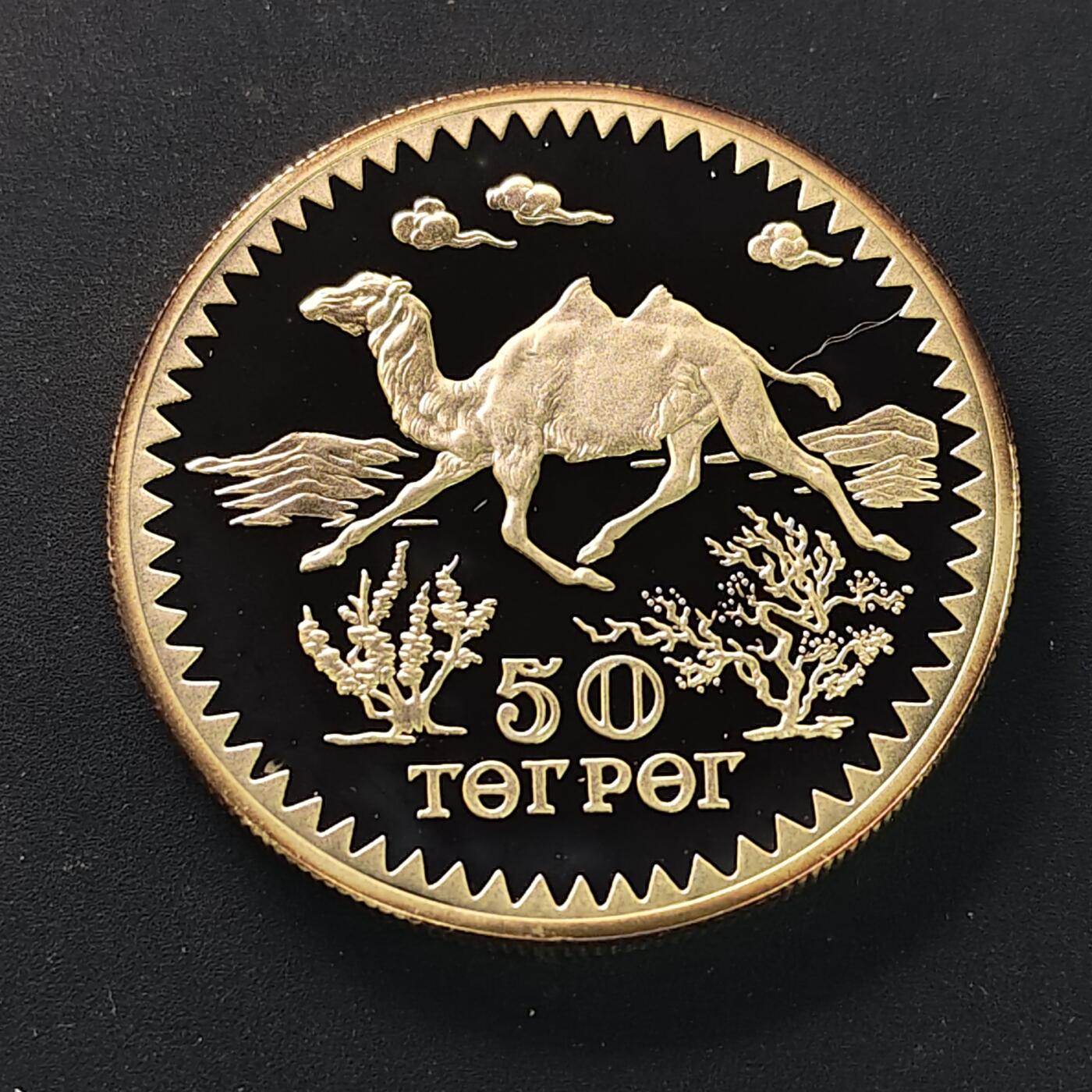 【全场包邮】纯粹捡漏拍507场