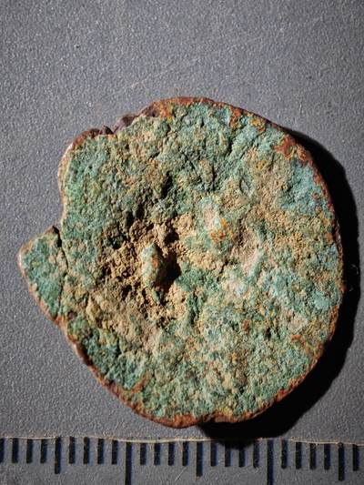 118期新疆红钱粟特钱币丝路钱币专场 - C丝路铜币版式