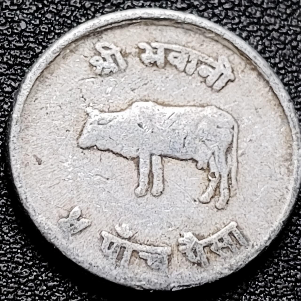 泉币菌-第202场-本场拍品多 请提前出价（正月十五统一发货） 。