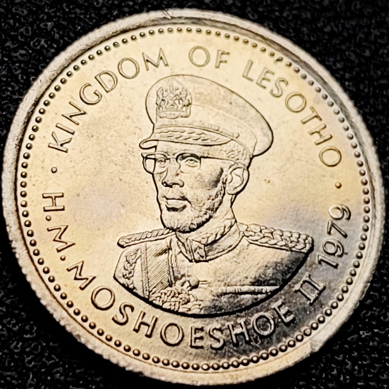 泉币菌-第202场-本场拍品多 请提前出价（正月十五统一发货） 。