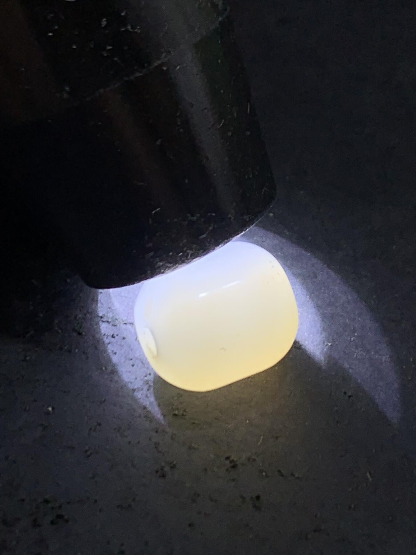 荔枝冻通货随形桶珠一颗，