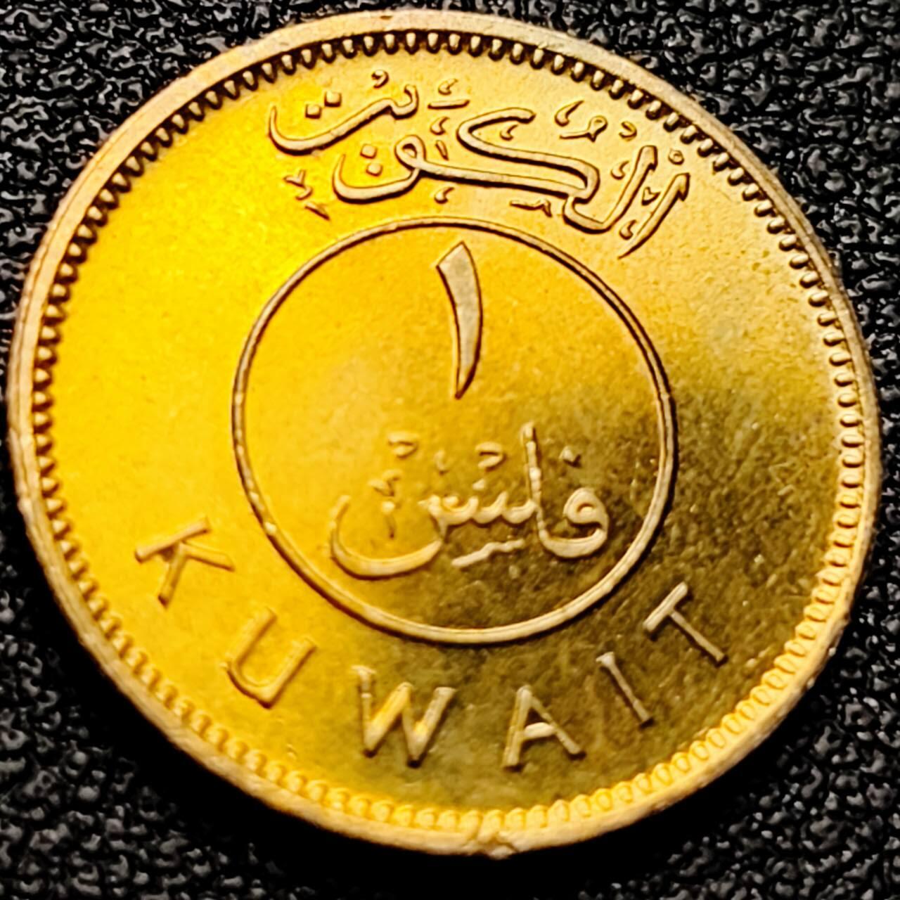 泉币菌-第202场-本场拍品多 请提前出价（正月十五统一发货） 。