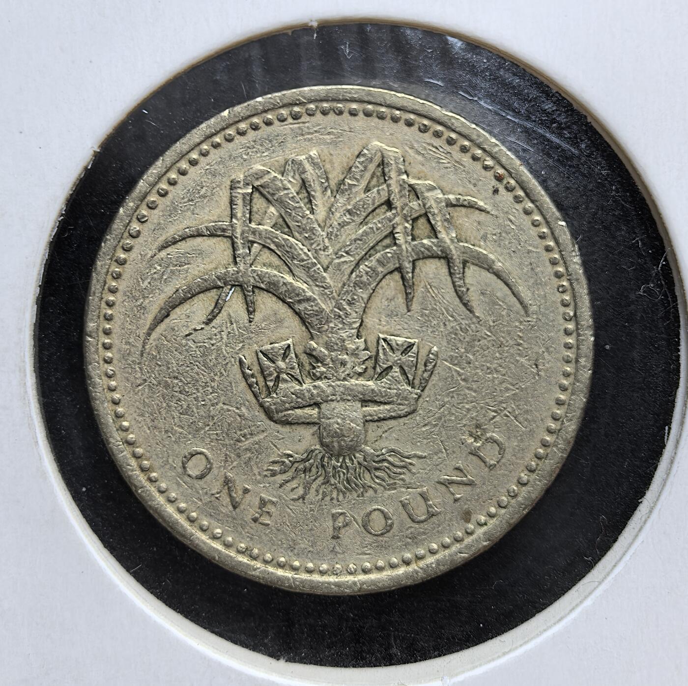 外国优质老铜币银币，正月十二晚九点倒数截拍，满百包邮可寄存，持续收拍 英国北爱尔兰亚麻花1英镑，正面为伊丽莎白二世头像，背面是象征北爱尔兰的亚麻花与王冠。它是英国首批发行的十进制 1 英镑流通币，也是联合王国系列主题币的开篇，见证了英国货币体系的成熟发展。