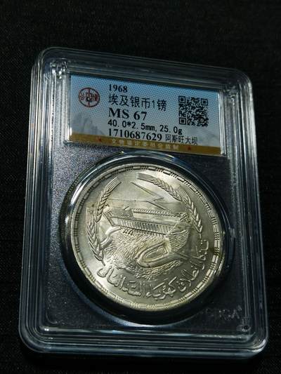 天下钱庄专场欢迎参拍 - 埃及1磅银币