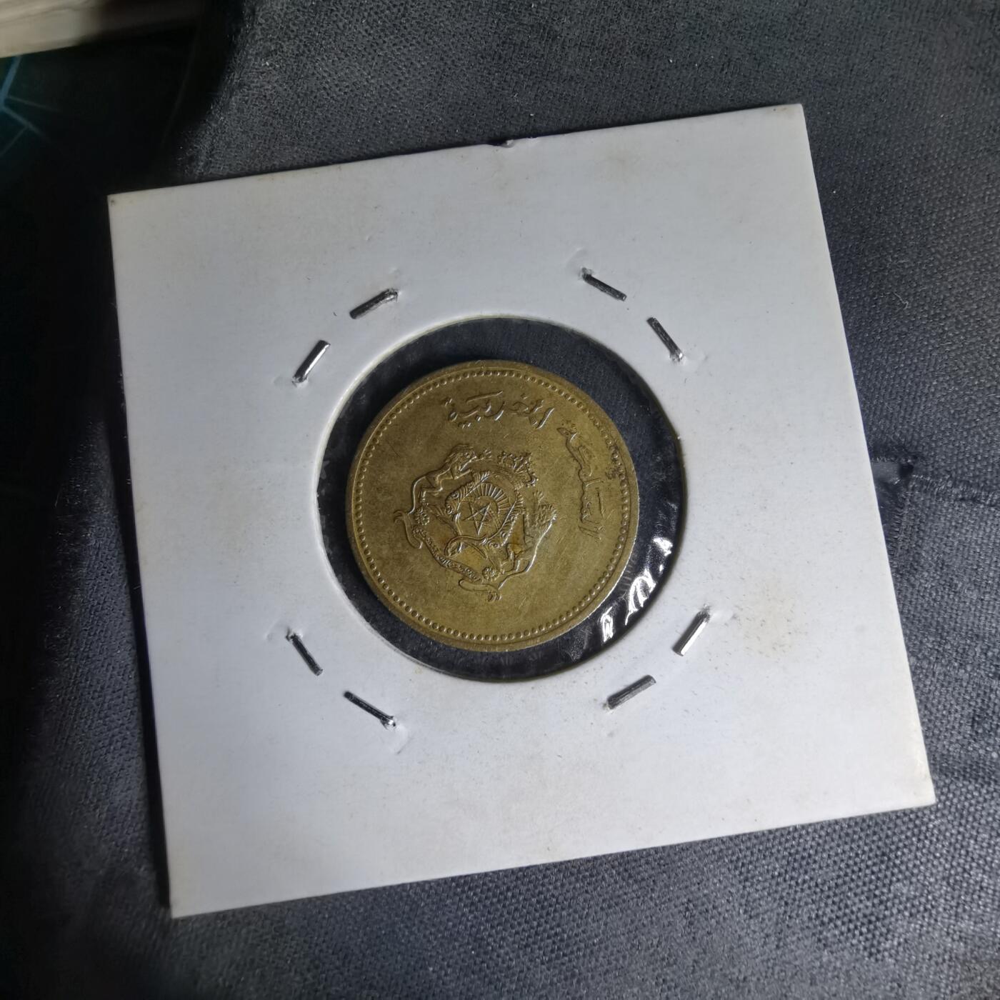 沼泽如烟--第1007场