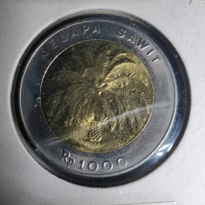 沼泽如烟--第1007场 - 印度尼西亚1996年1000卢比