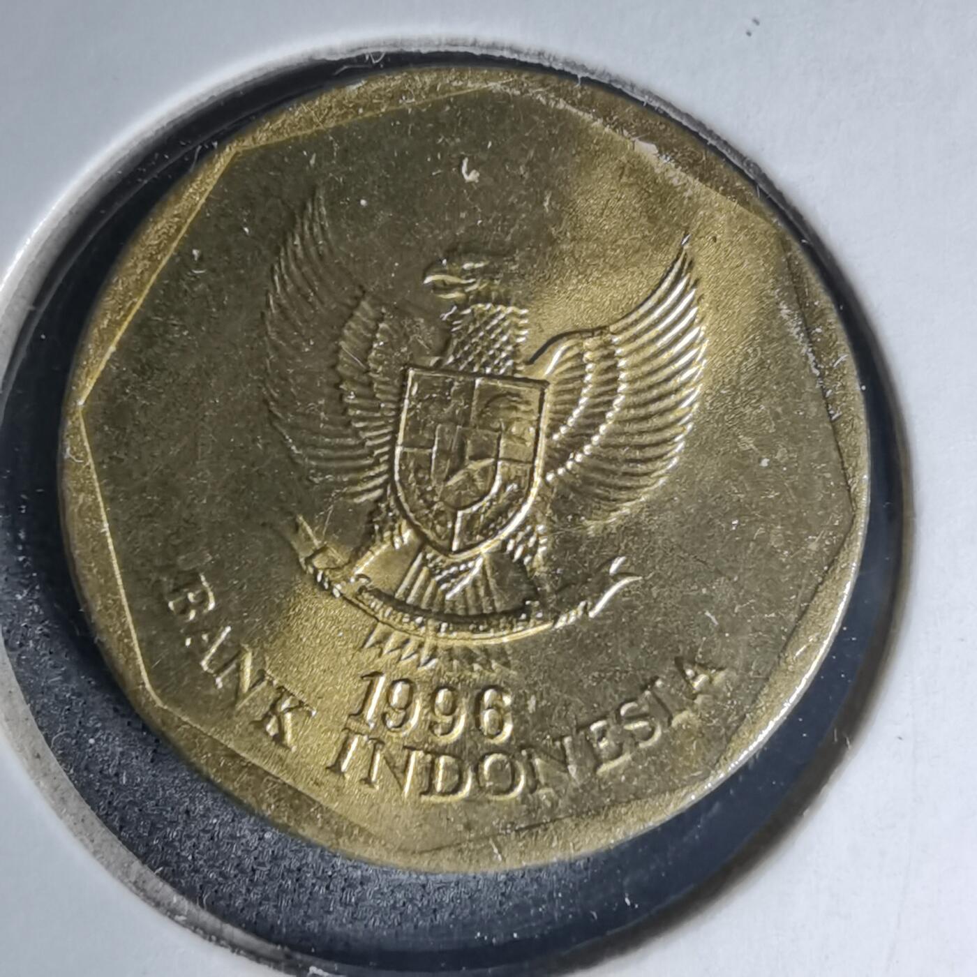 沼泽如烟--第1007场