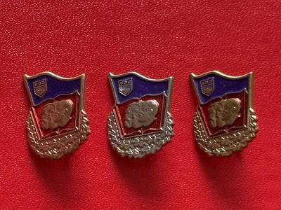 （不断上新中，开春初拍流量差 欢迎转发有佣金红包）云宸嘉赏-勋臻精藏⭐️年后精品专拍场次🎖 - 民主德国青年团 “良好知识” 证章一套 早期版本