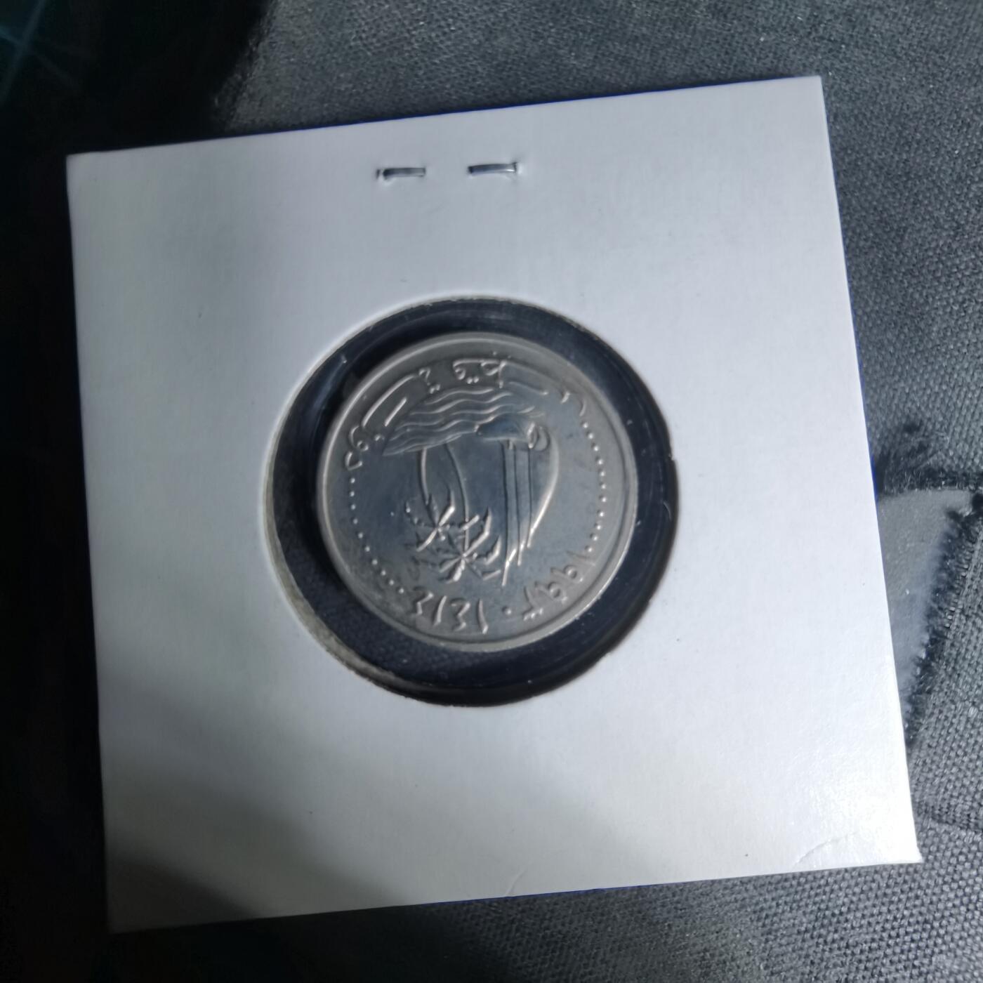 沼泽如烟--第1007场