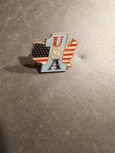 老王徽章第185期 - 美国徽章