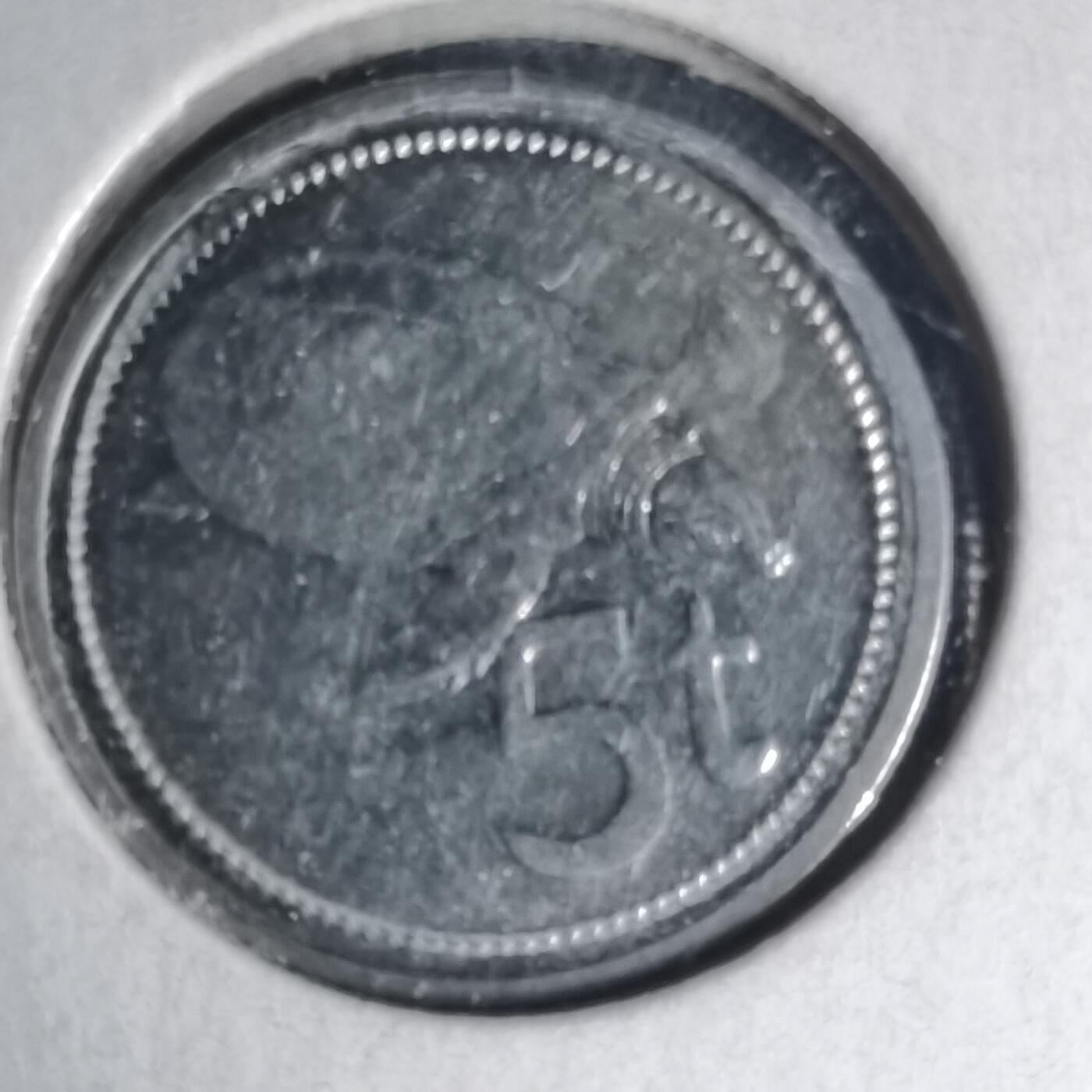 沼泽如烟--第1007场