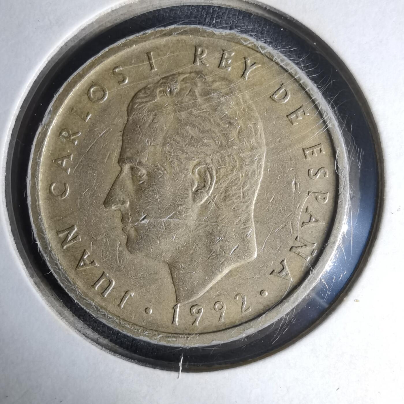 沼泽如烟--第1007场