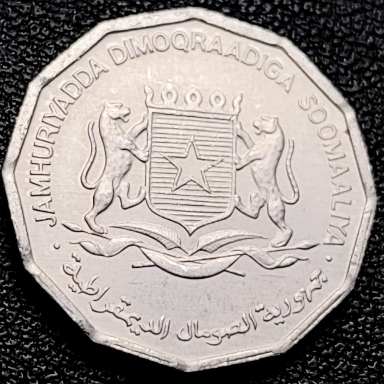 泉币菌-第203场-本场拍品多 请提前出价（正月十五统一发货） 。