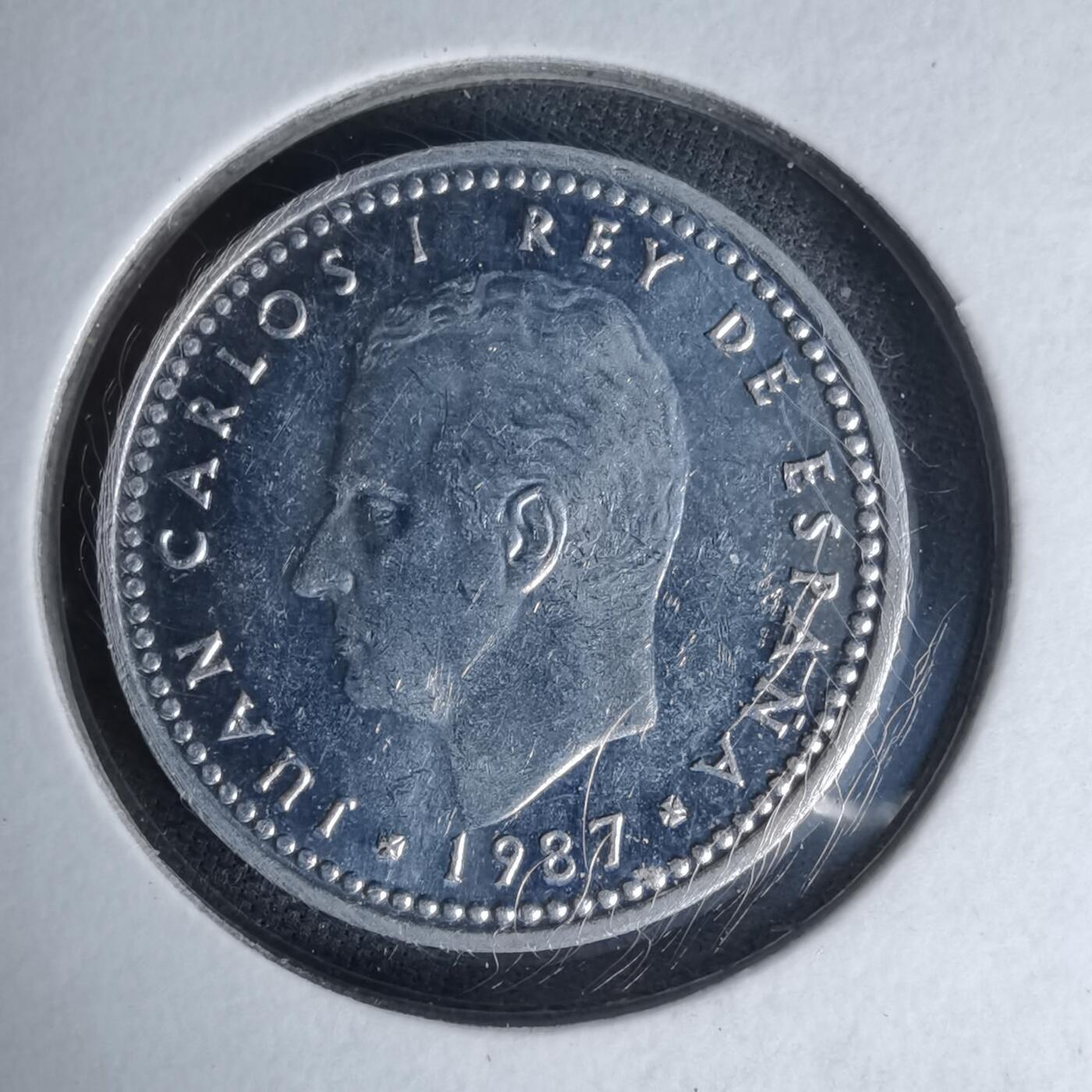 沼泽如烟--第1007场