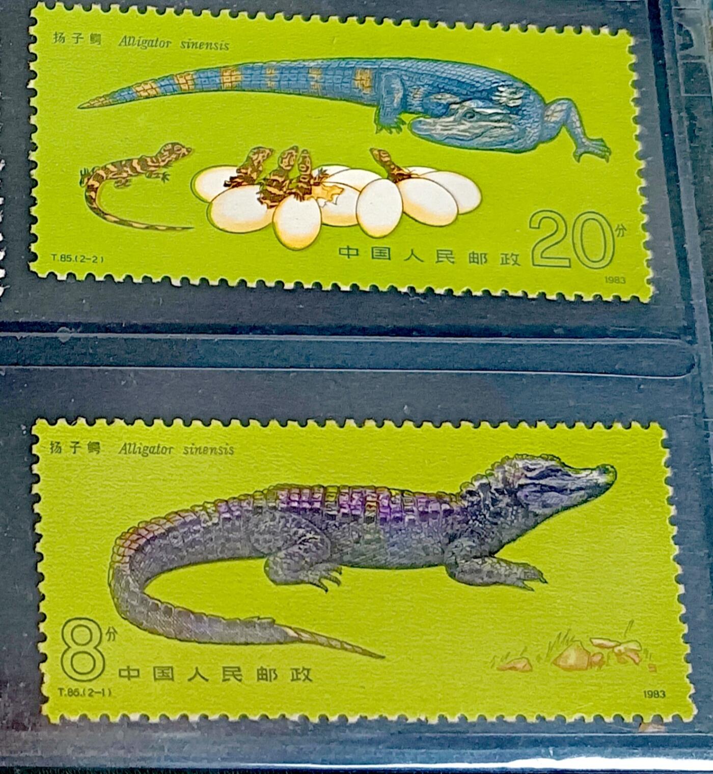 $宁静致远$ 2026年3月中国邮票拍卖