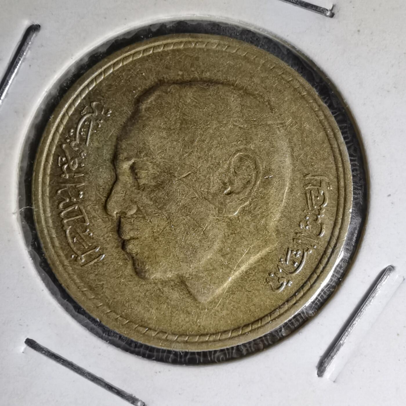 沼泽如烟--第1007场