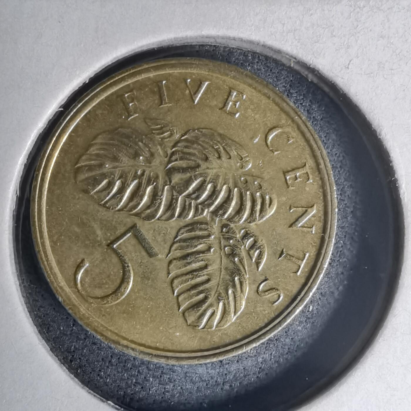 沼泽如烟--第1007场