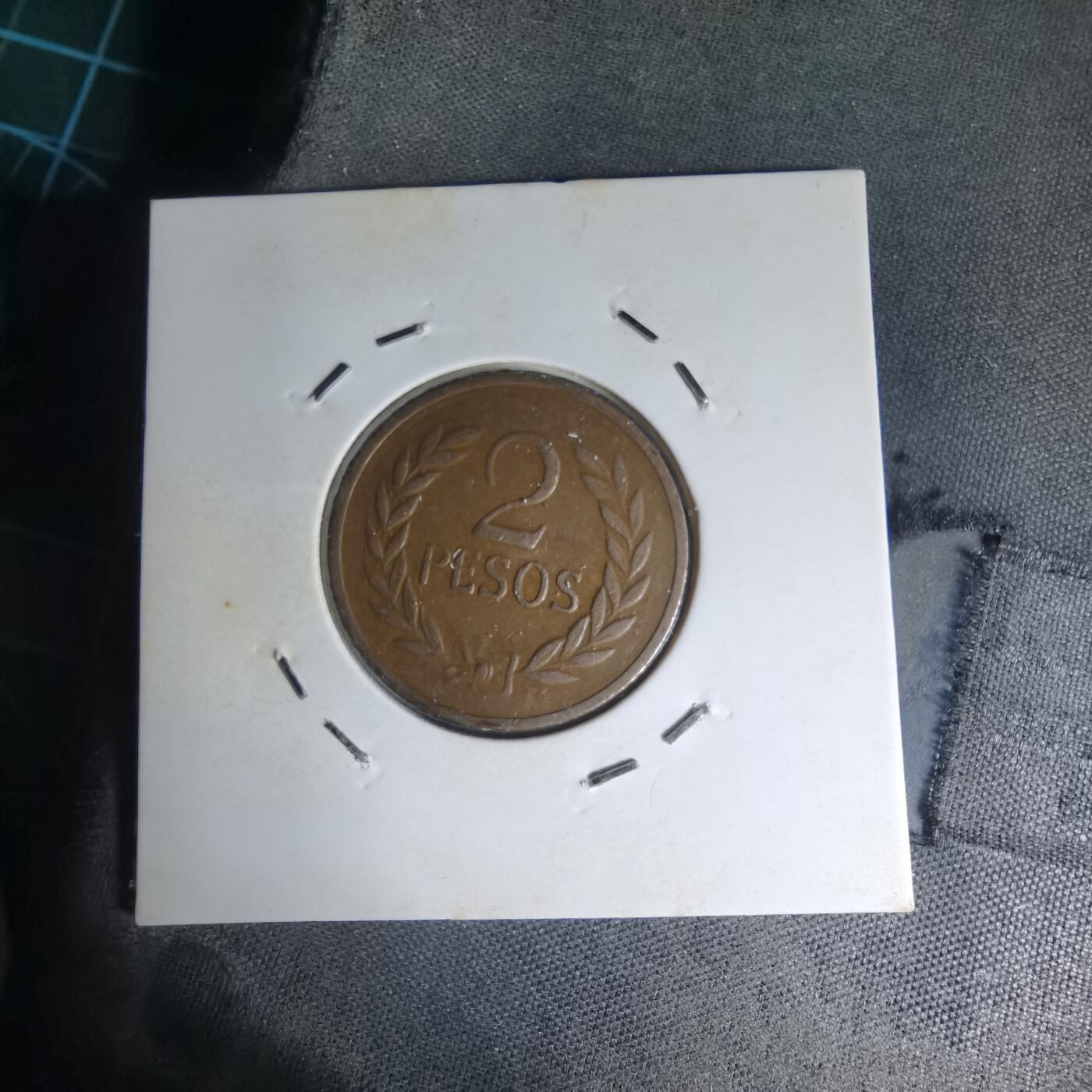 沼泽如烟--第1007场