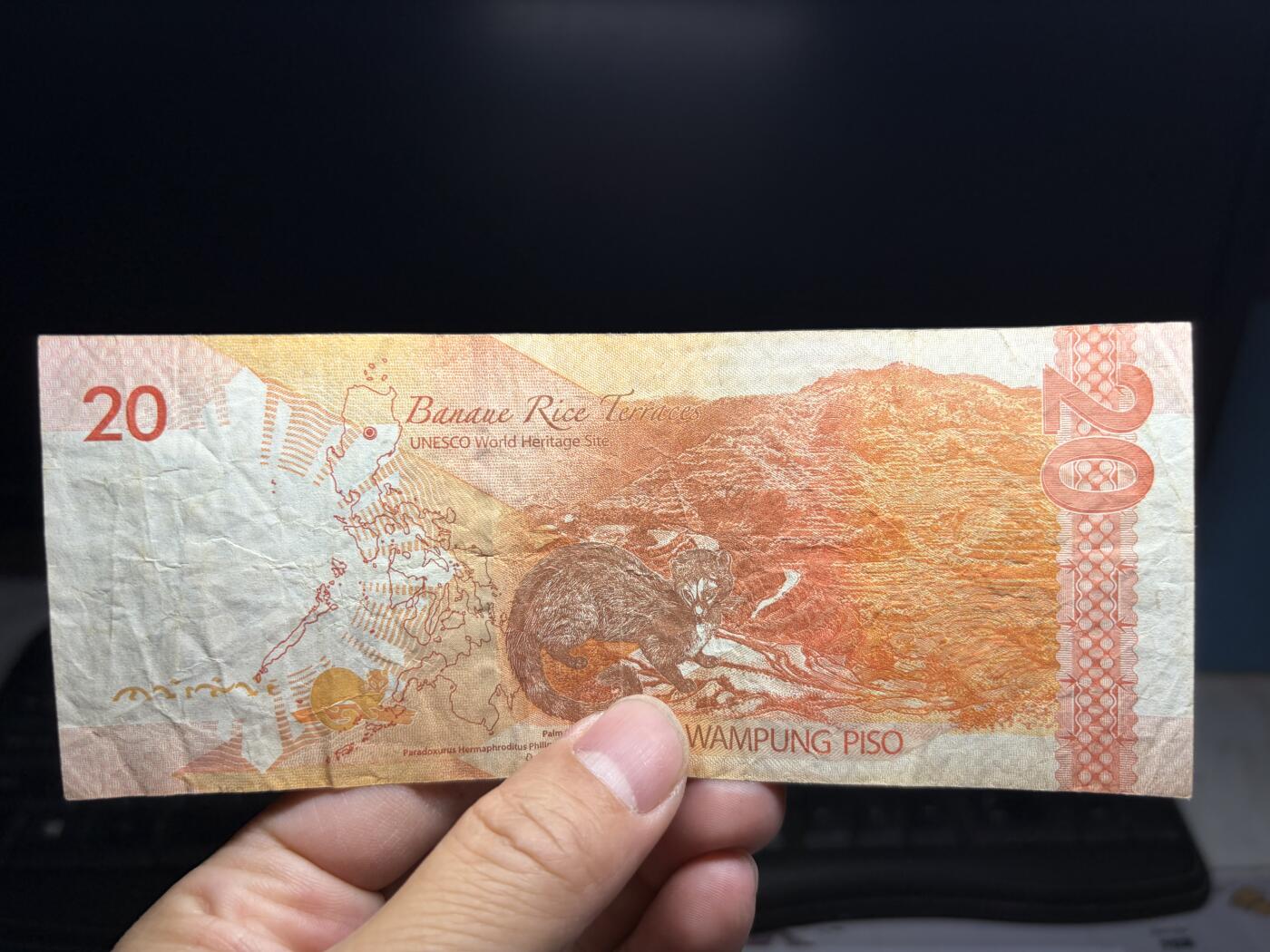 2026年集古藏今外币拍卖第二期-第10场—（总第310拍-纸币专场），本期拍完结算一次，发货时间2-3天，休息几天后继续新的一期拍卖。 2014年菲律宾20比索