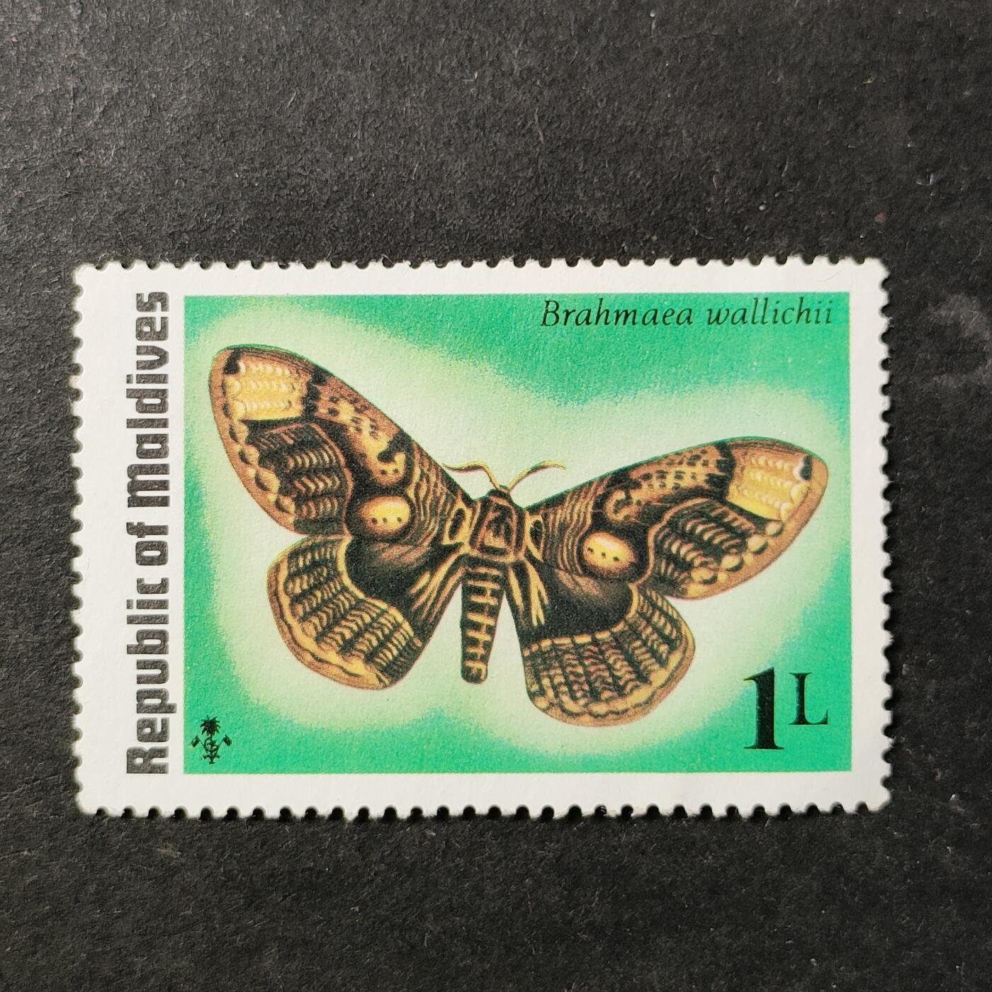 ↓君缘收藏751期☞钱币邮品↓无佣金、可寄存、满30元包邮  马尔代夫邮票，1975年昆虫 王氏樗蚕蛾邮票