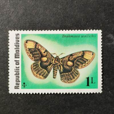 ↓君缘收藏751期☞钱币邮品↓无佣金、可寄存、满30元包邮  - 马尔代夫邮票，1975年昆虫 王氏樗蚕蛾邮票