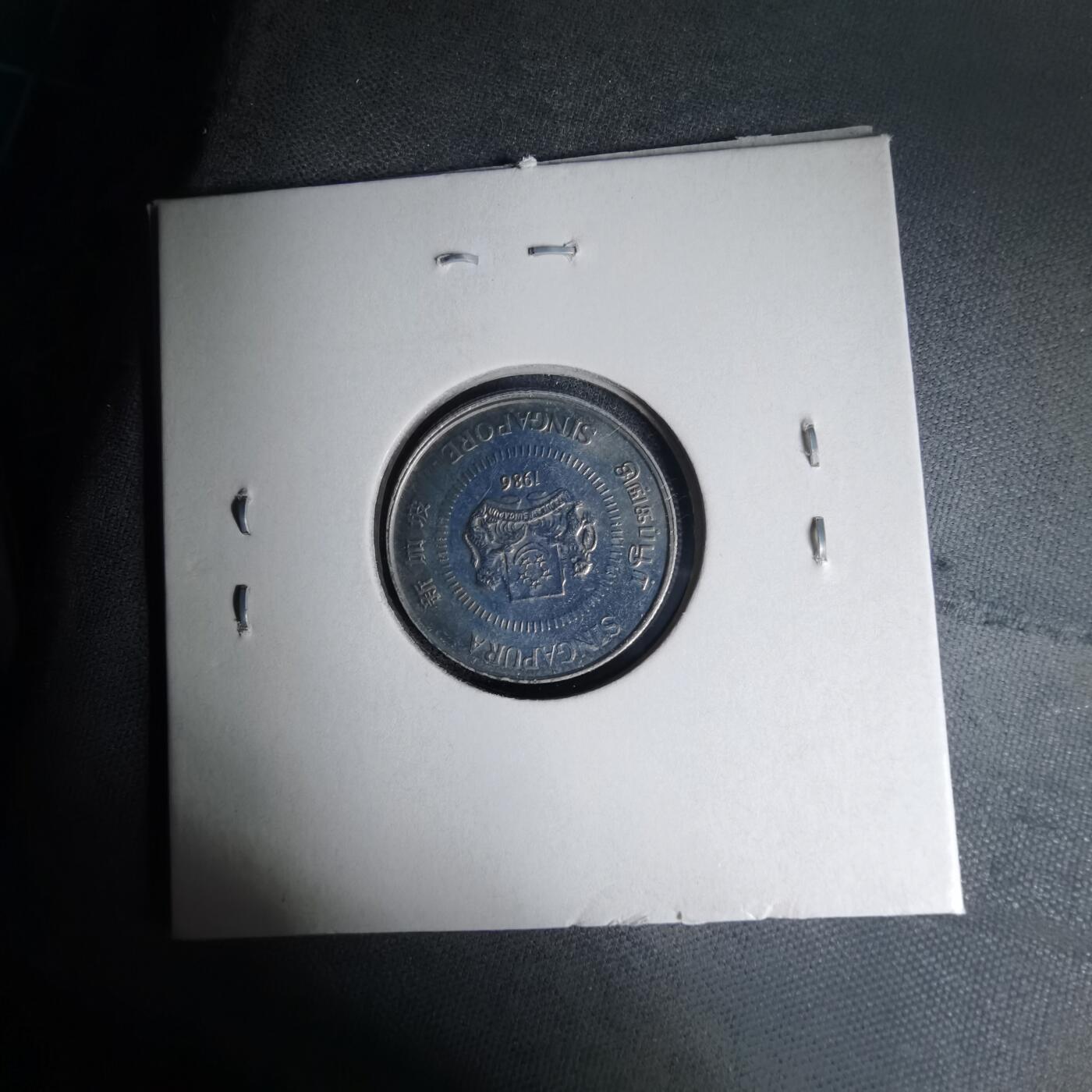 沼泽如烟--第1007场