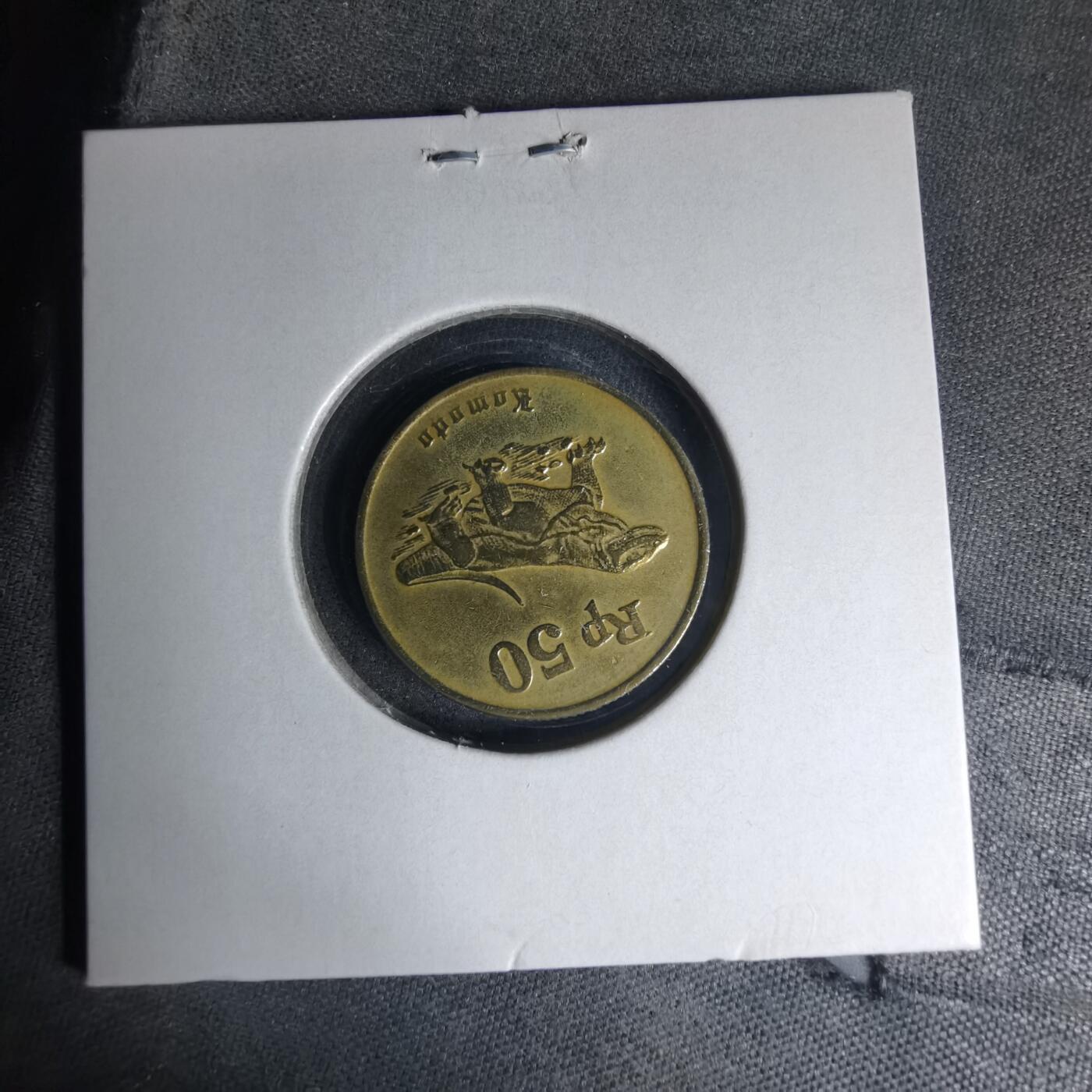 沼泽如烟--第1007场