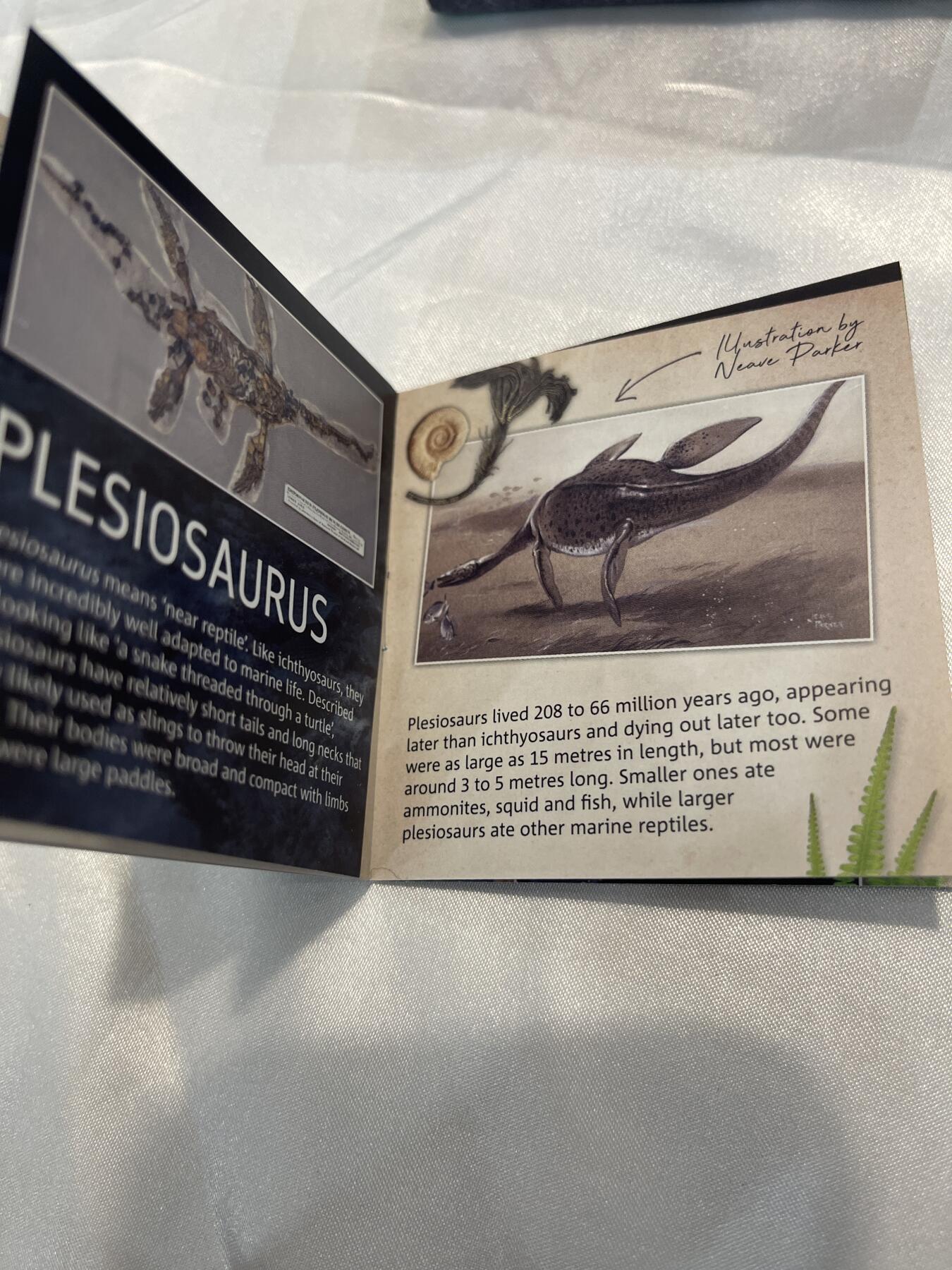 英国2021年Plesiosaurus纪念银币 50便士面值，925银，Proof工艺，限量发行 证书、亚克力壳，品相保存很好，适合收藏