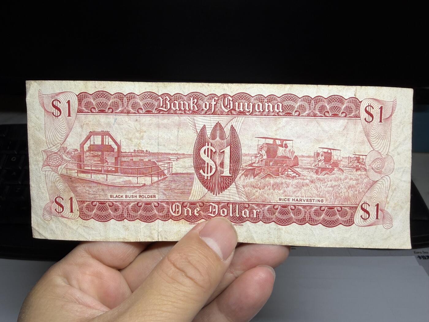 2026年集古藏今外币拍卖第二期-第10场—（总第310拍-纸币专场），本期拍完结算一次，发货时间2-3天，休息几天后继续新的一期拍卖。 圭亚那一元