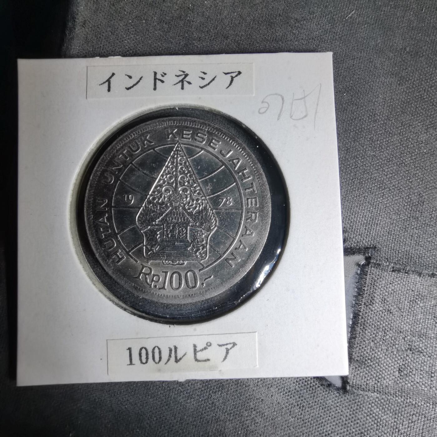 沼泽如烟--第1007场