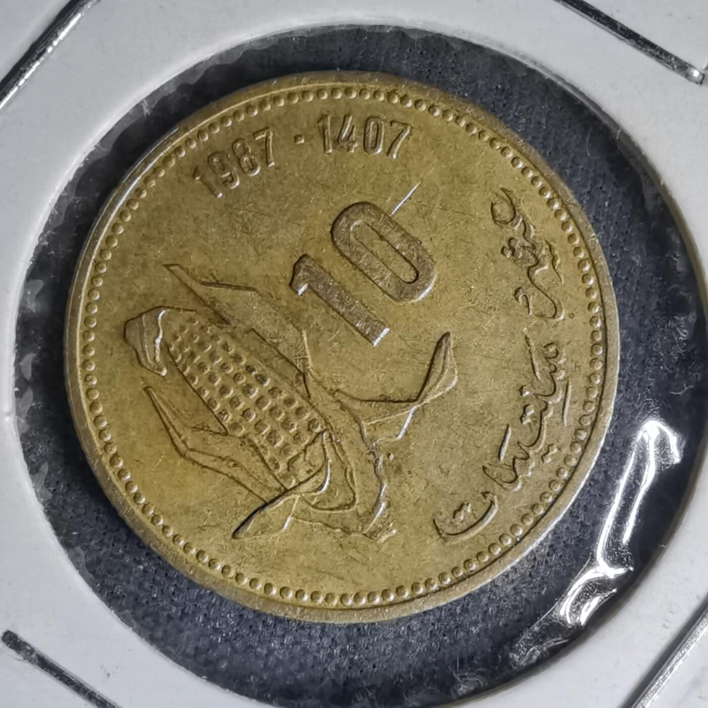 沼泽如烟--第1007场