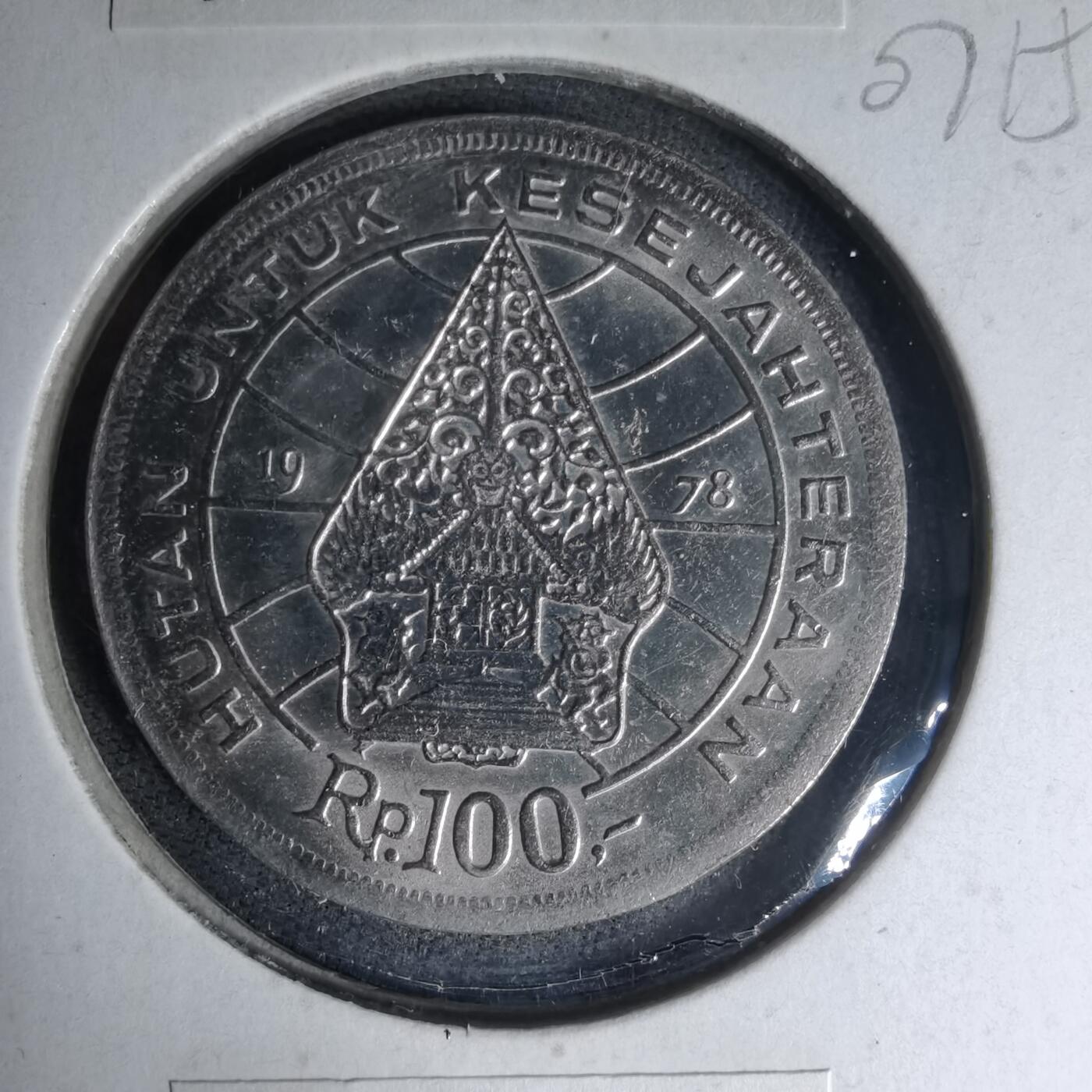 沼泽如烟--第1007场