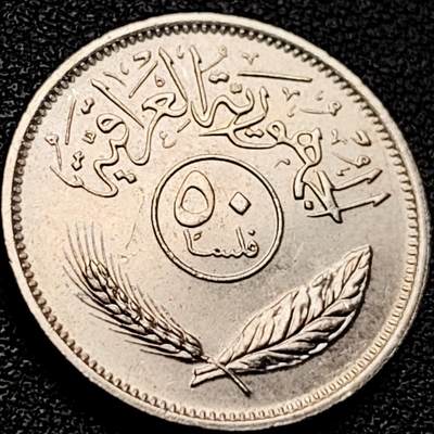 泉币菌-第204场-元宵节专场 本场拍品多 请提前出价 - 伊拉克50费尔镍币 萨达姆执政时期 异形币  椰树版 23mm