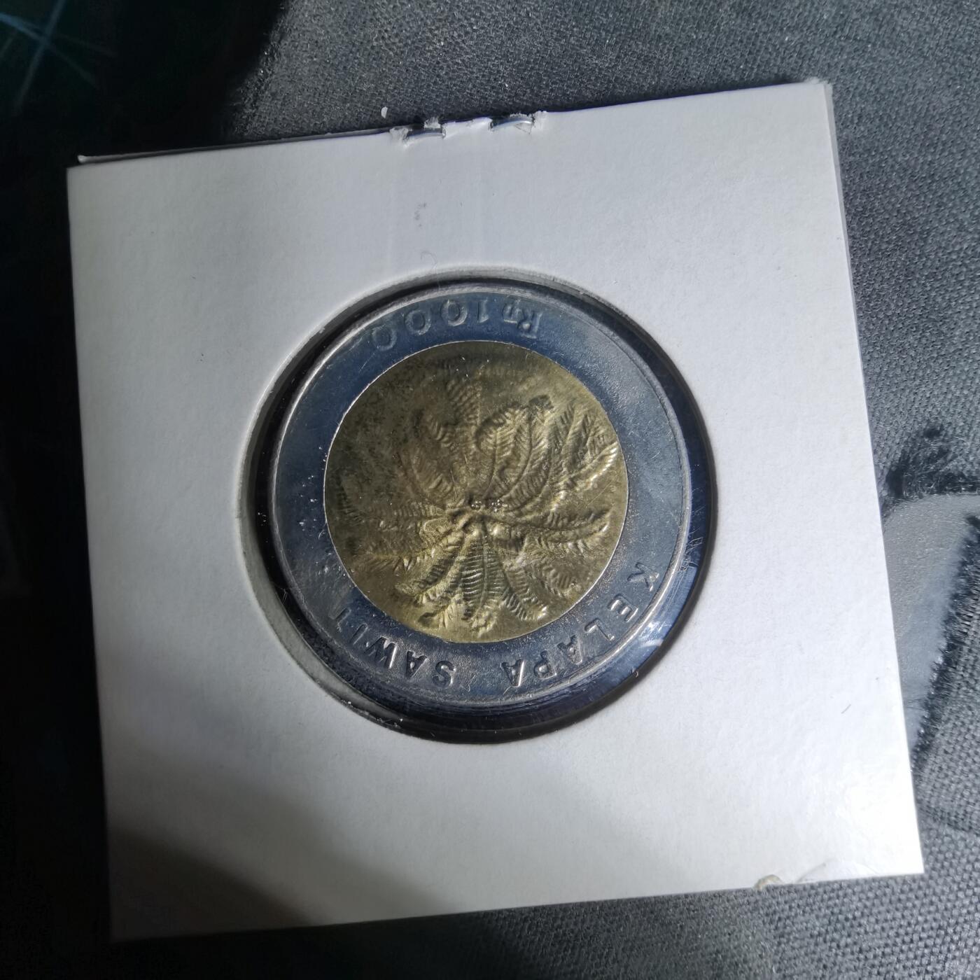 沼泽如烟--第1007场